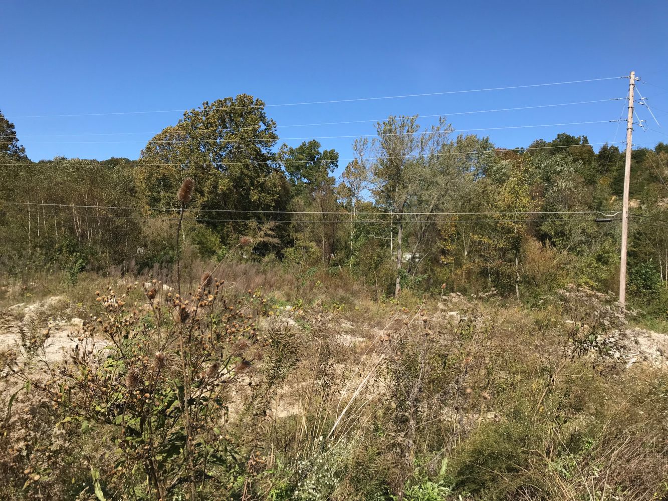 368 State Hwy 1947, Grayson, KY 41143